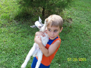 boyandgoat.jpg