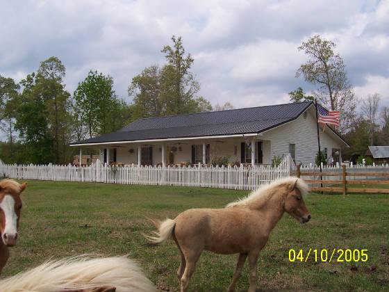 house.jpg