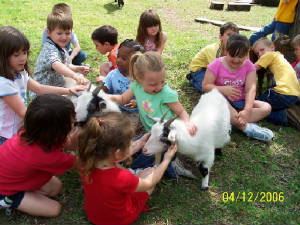 morekidsgoat2.jpg