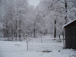 snowday7.jpg
