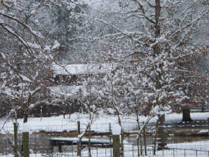 snowday8.jpg