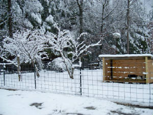 snowday7.jpg